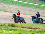 AK021025-75 - Alan King Stable Visit
